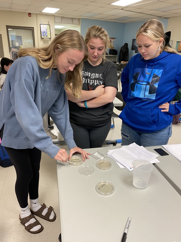 Students inoculate a Petri dish.