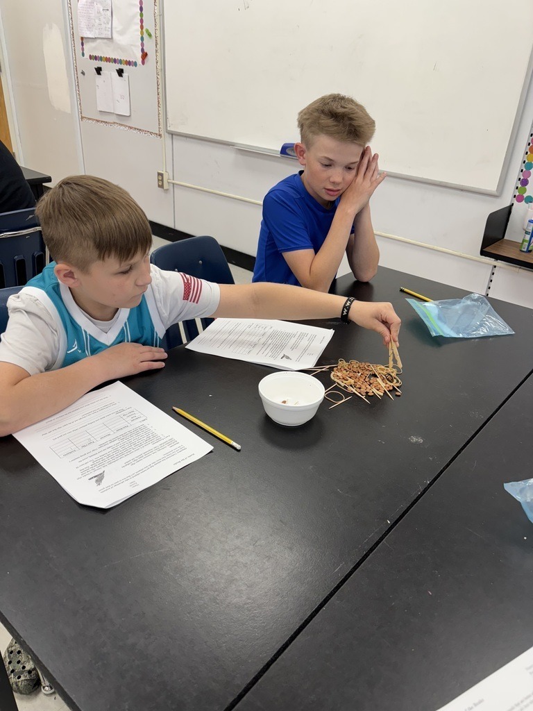 Damascus Middle School Science 7 Battle of the Beaks Activity
