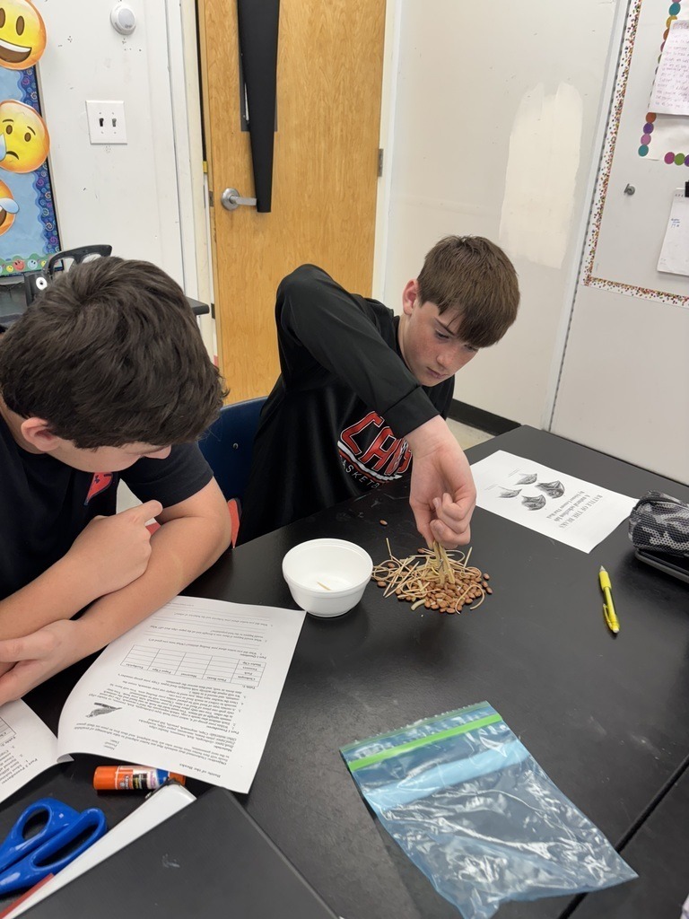 Damascus Middle School Science 7 Battle of the Beaks Activity