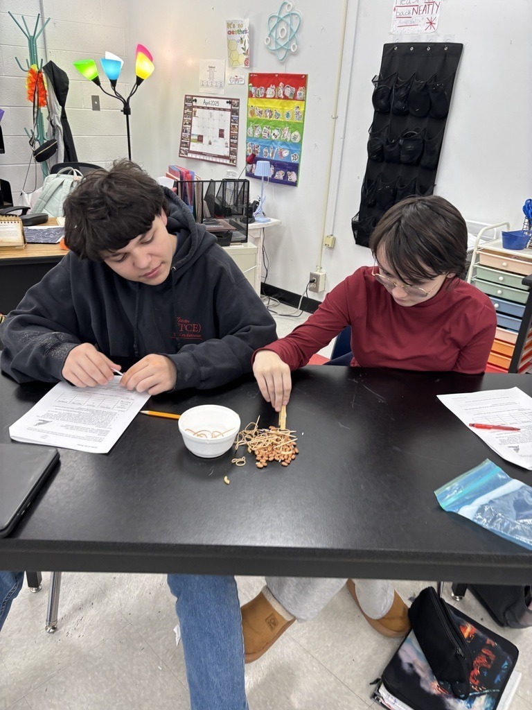 Damascus Middle School Science 7 Battle of the Beaks Activity