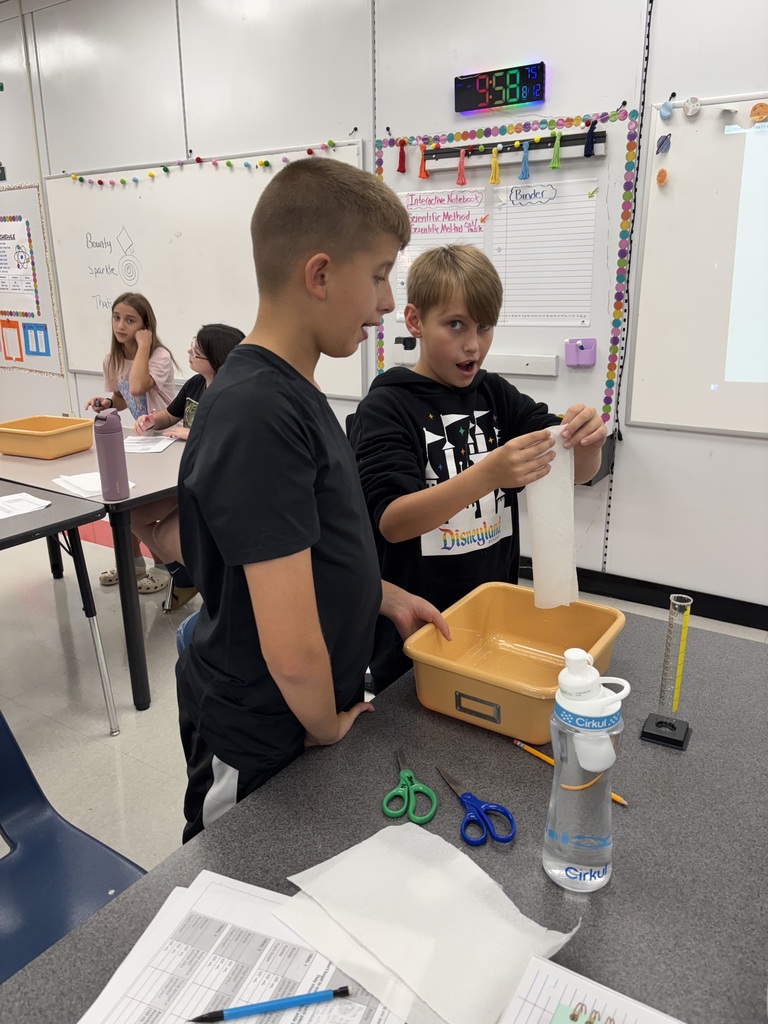 Students test absorbancy of paper towels.