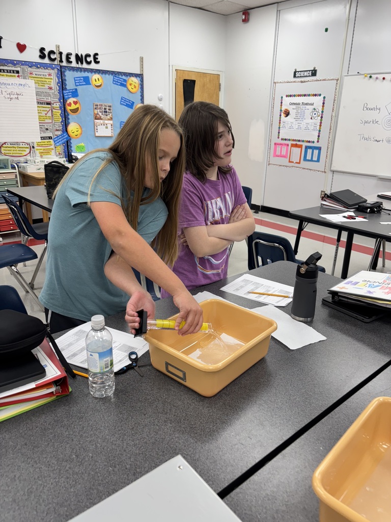 Students test absorbancy of paper towels.