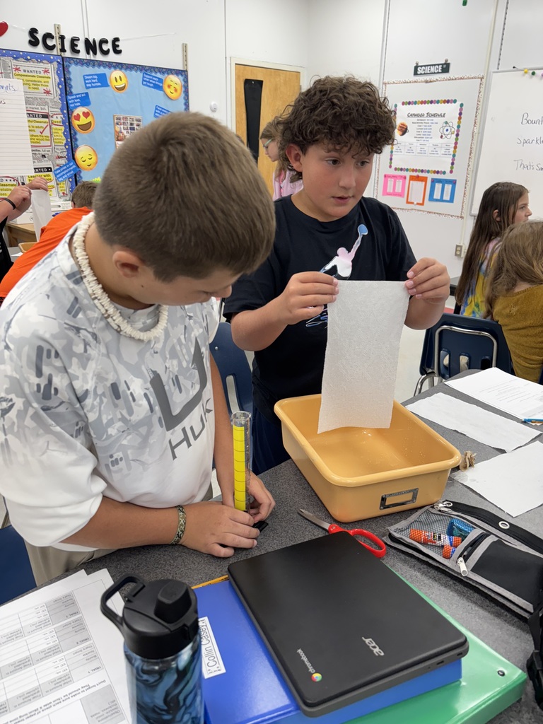 Students test absorbancy of paper towels.