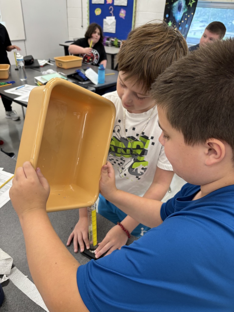 Students test absorbancy of paper towels.