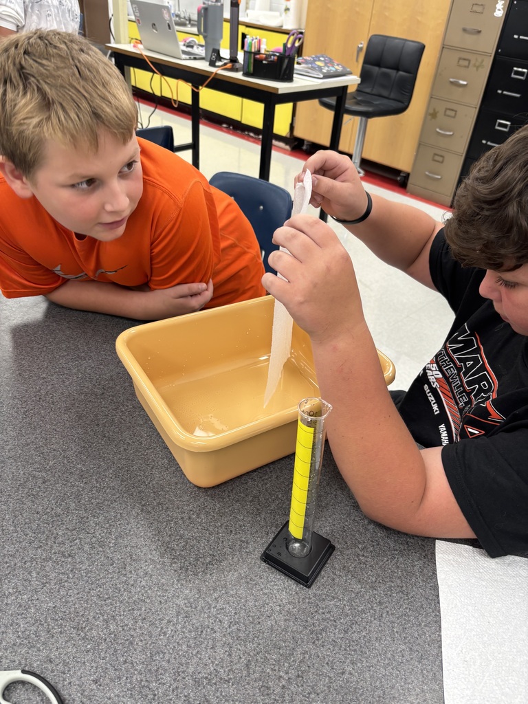 Students test absorbancy of paper towels.