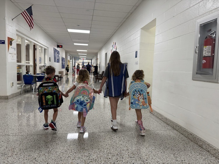 Watchful Wildcats at Watauga Elementary School
