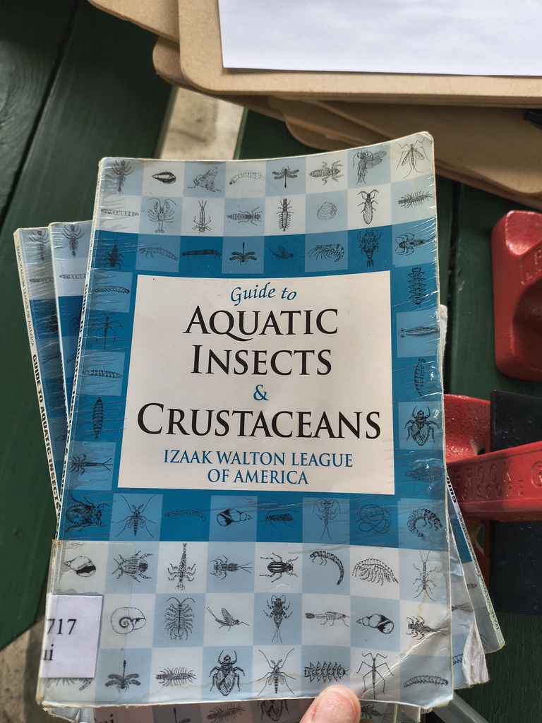 Insect book