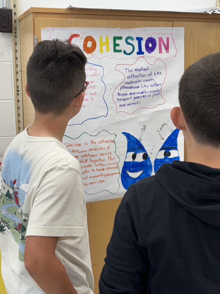 Students look at a poster about cohesion.