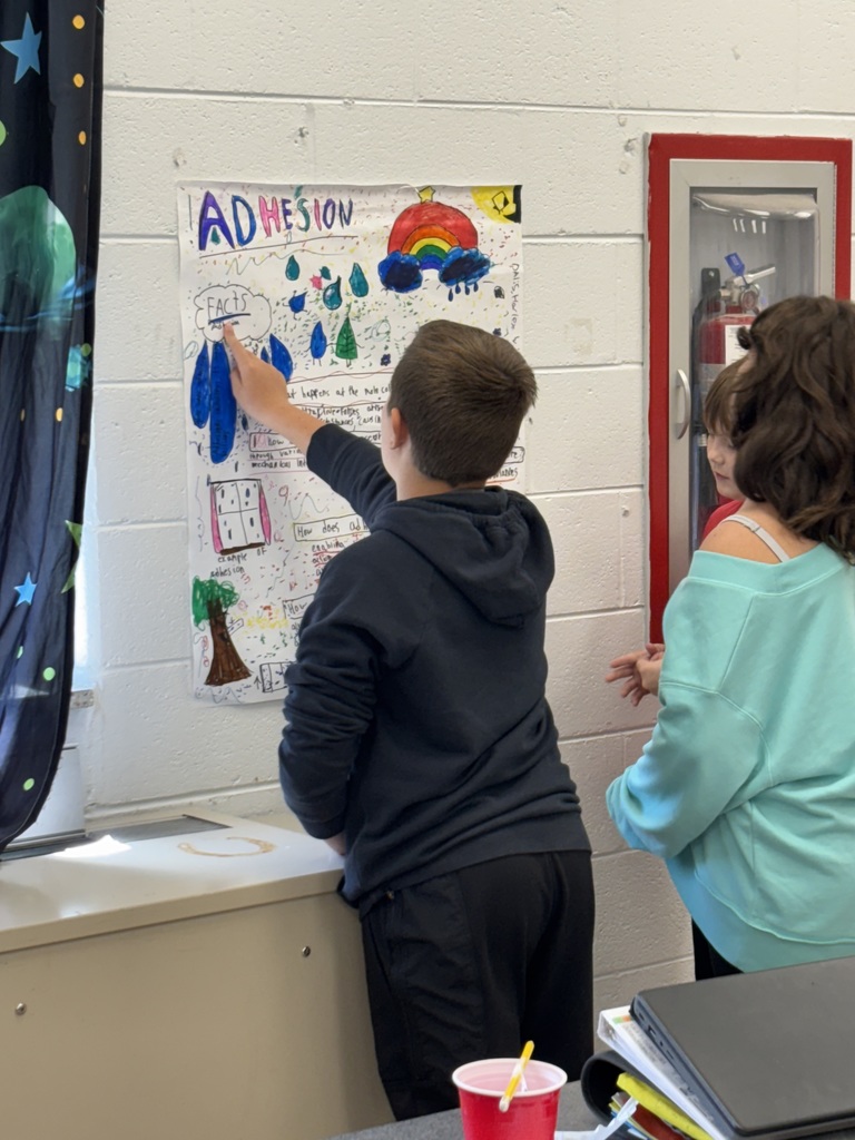 Students look at a poster about adhesion.