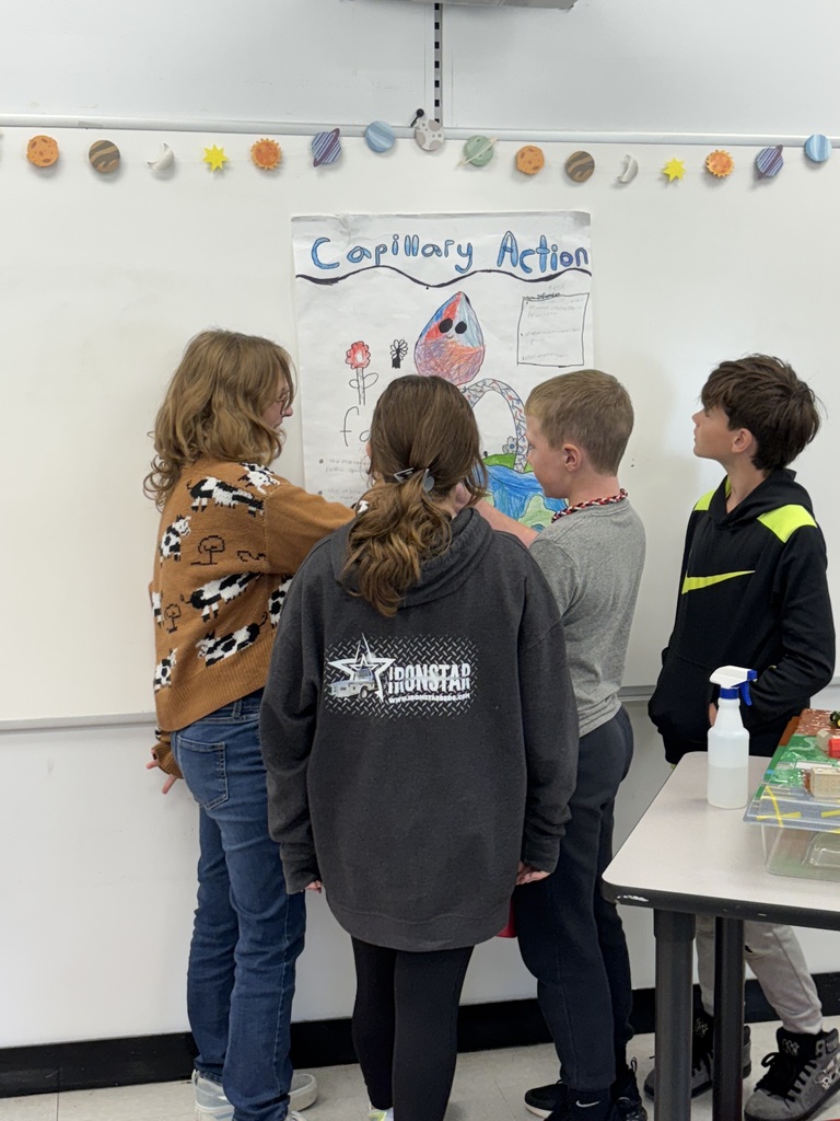 Students look at a poster about capillary action.