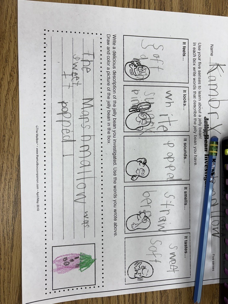 Abingdon Elementary School Marshmallow Investigation
