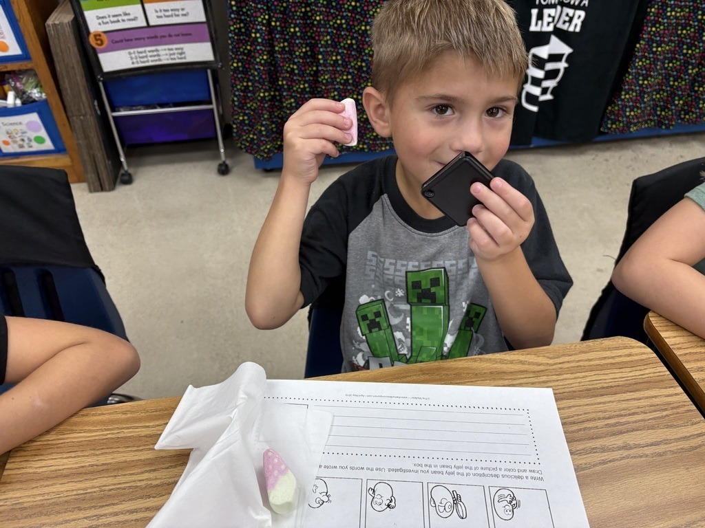 Abingdon Elementary School Marshmallow Investigation
