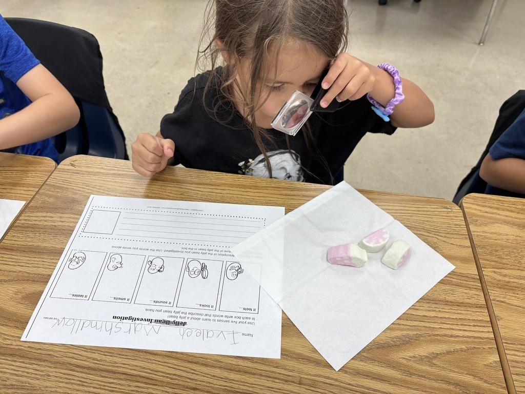 Abingdon Elementary School Marshmallow Investigation