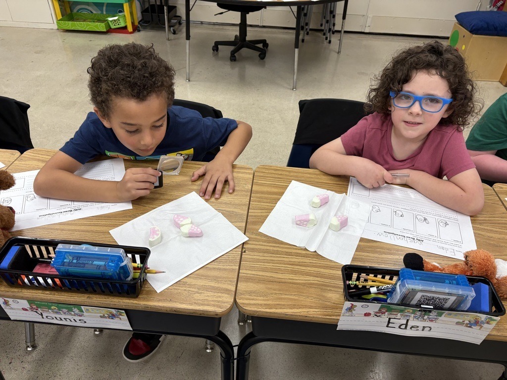 Abingdon Elementary School Marshmallow Investigation