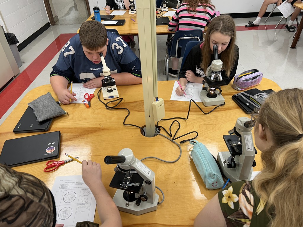 Students use microscopes in a science lab.