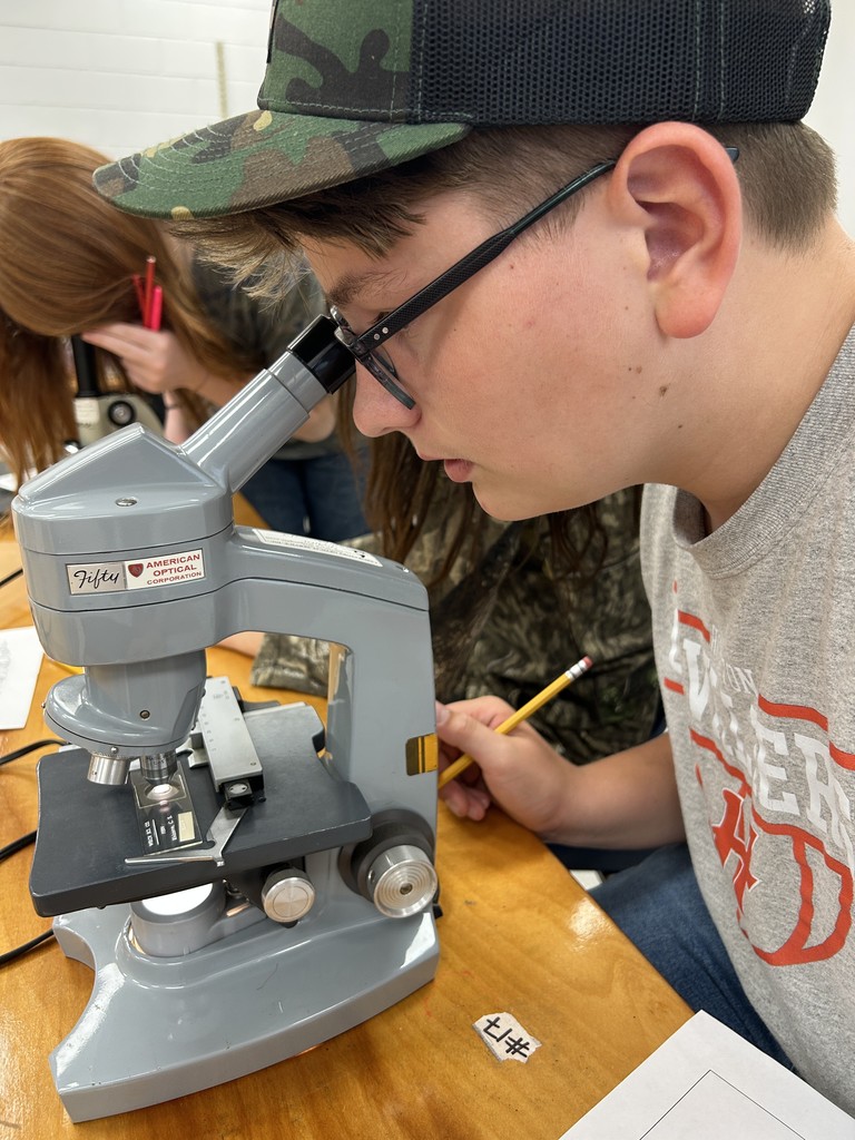 Students use microscopes in a science lab.