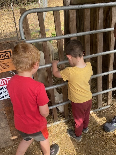 Pre-K Visits Stickley Farm