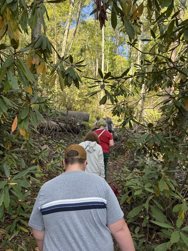 Students walk up a trail.