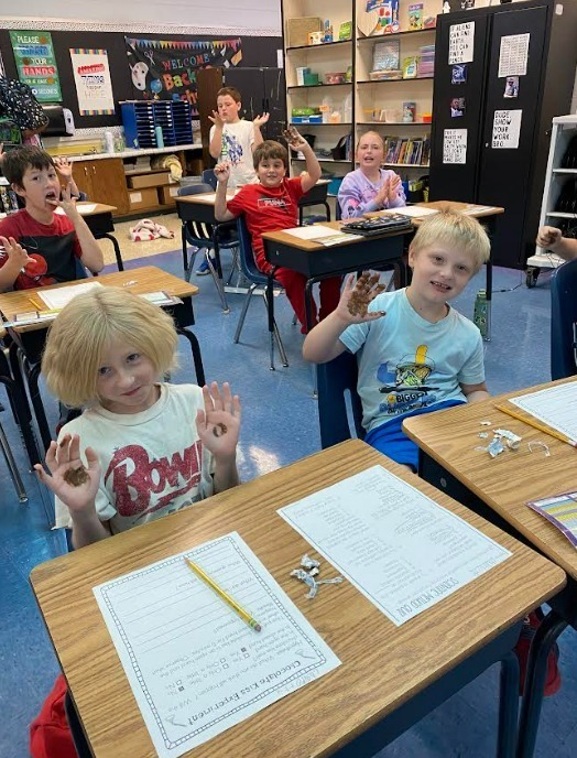 Meadowview Elementary School Chocolate Lab 