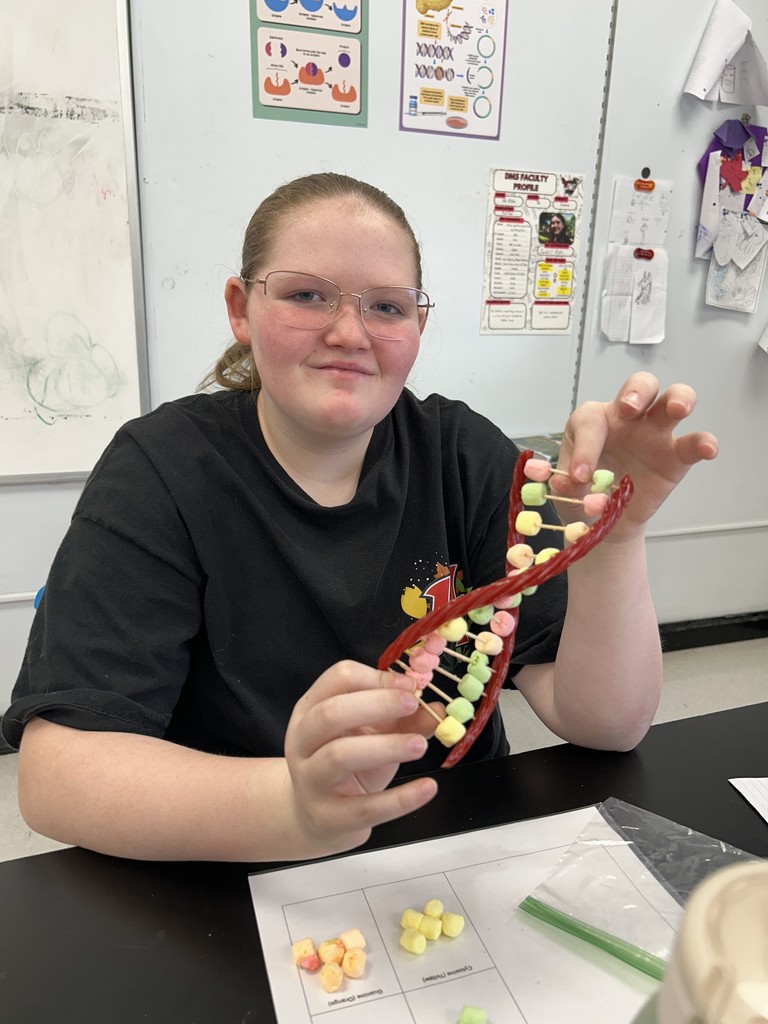 Students show off their candy DNA models.
