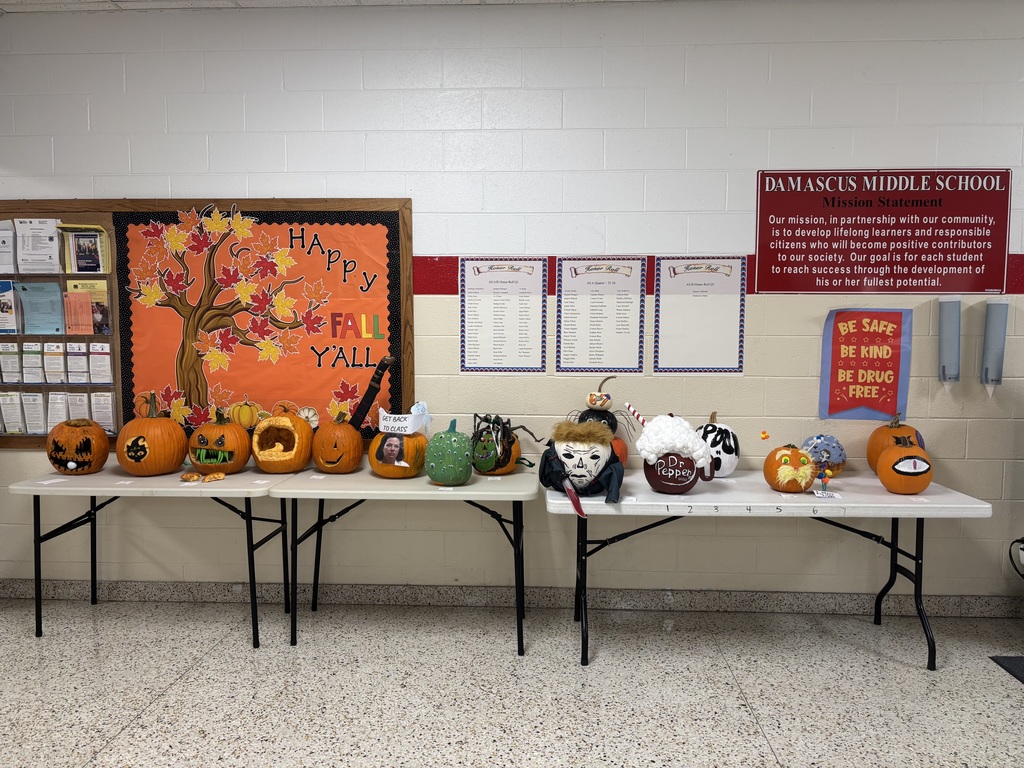 Various decorated and carved pumpkins are displayed on a table.