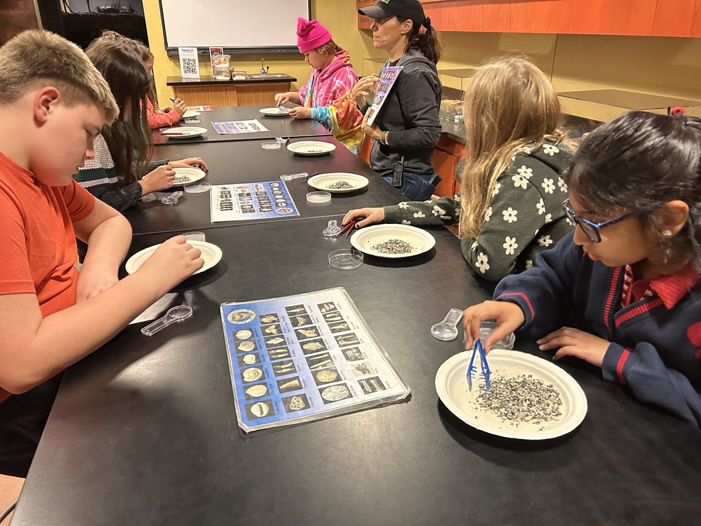 The WES Robotics Teams traveled to the Gray Fossil Site and Hands On Museum to do archaeological research for their “Unearthed” projects. They learned about animals that inhabited our area long ago, and they sifted for fossils to identify. 