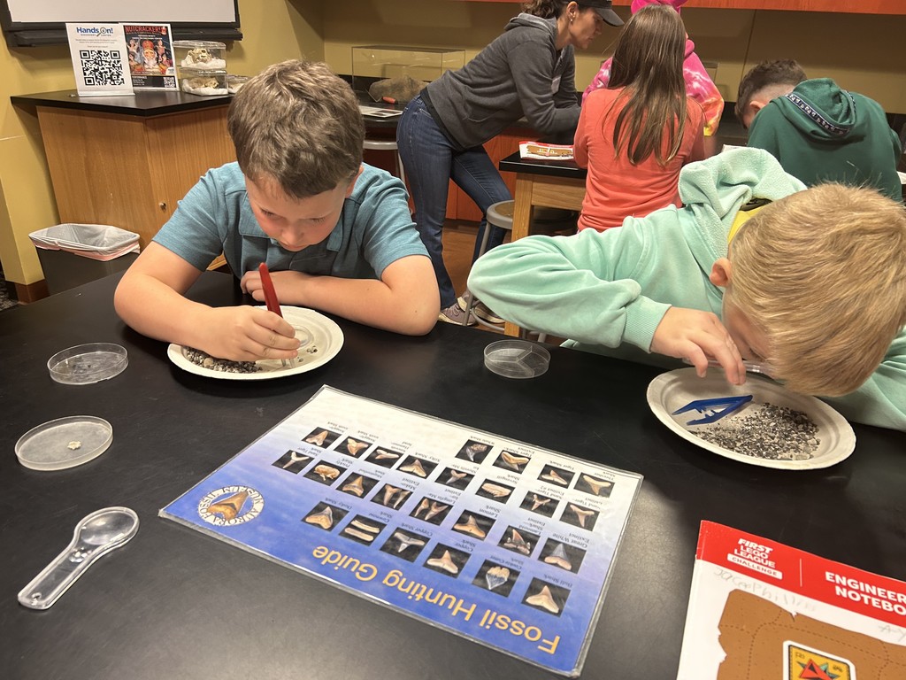 The WES Robotics Teams traveled to the Gray Fossil Site and Hands On Museum to do archaeological research for their “Unearthed” projects. They learned about animals that inhabited our area long ago, and they sifted for fossils to identify. 