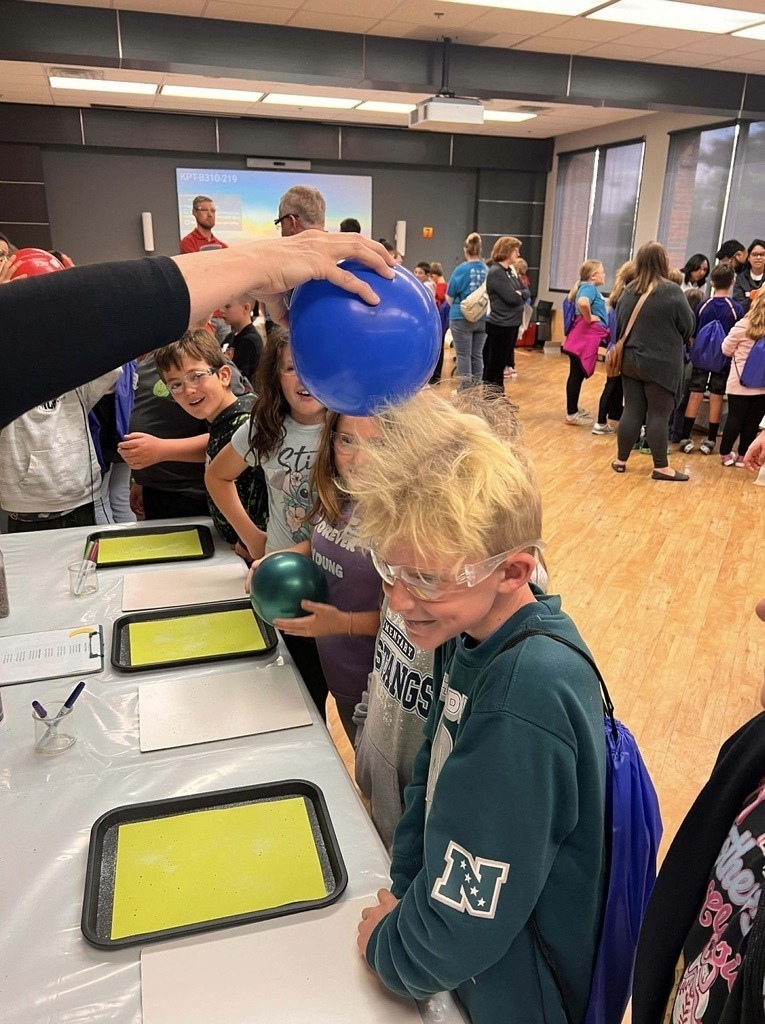 Meadowview Elementary School Science Fair
