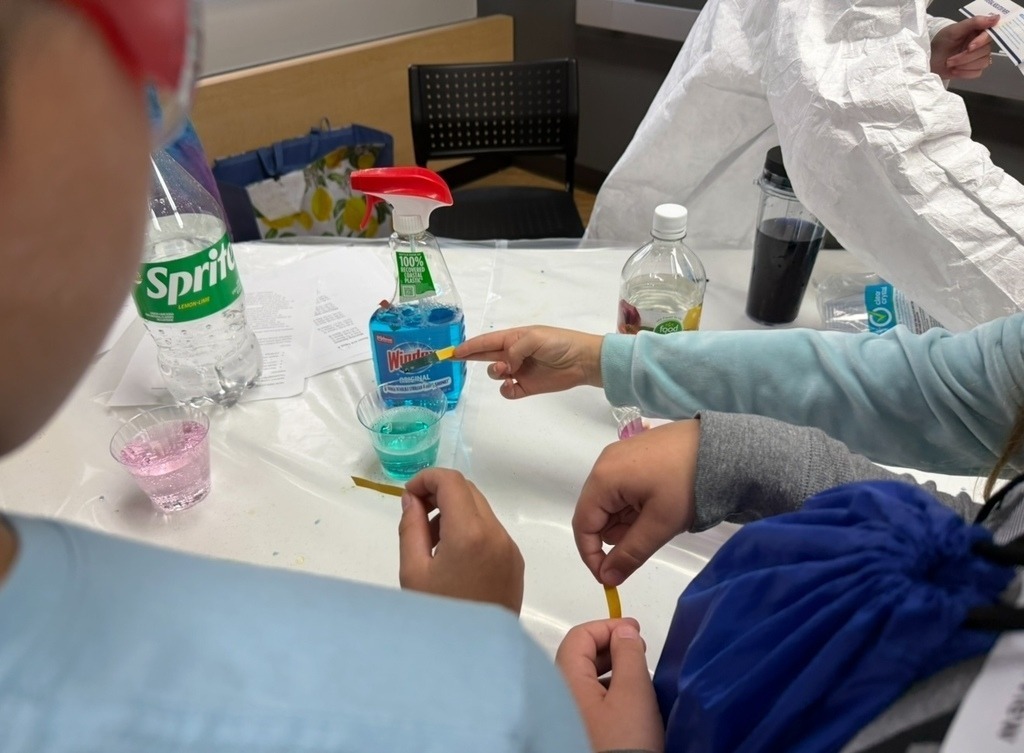 Meadowview Elementary School Science Fair