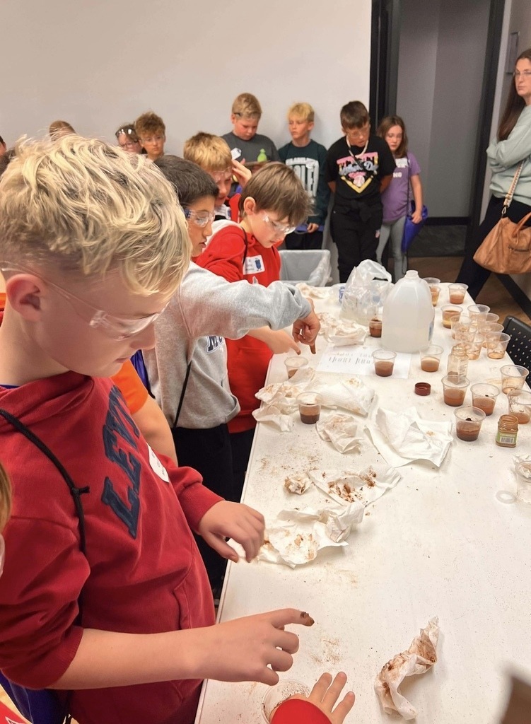 Meadowview Elementary School Science Fair