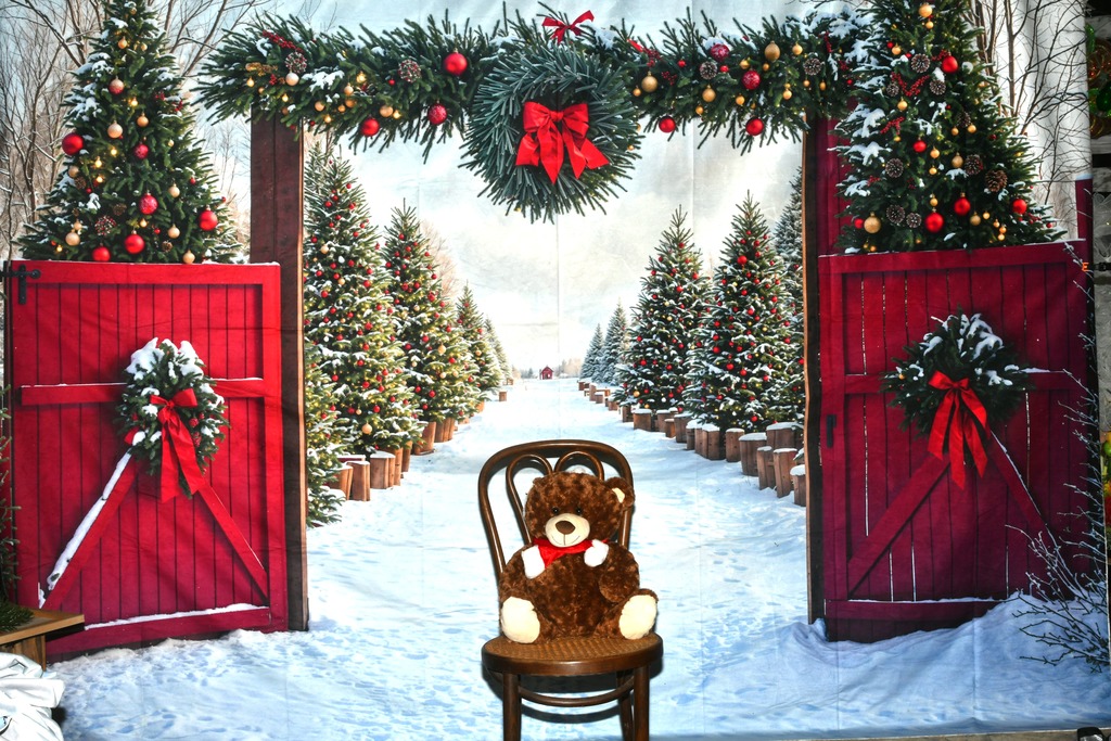 Christmas Photo backdrop 