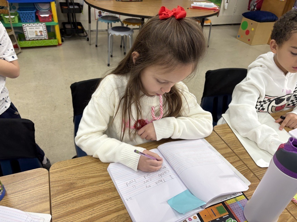 Abingdon Elementary School Candy Cane Journals