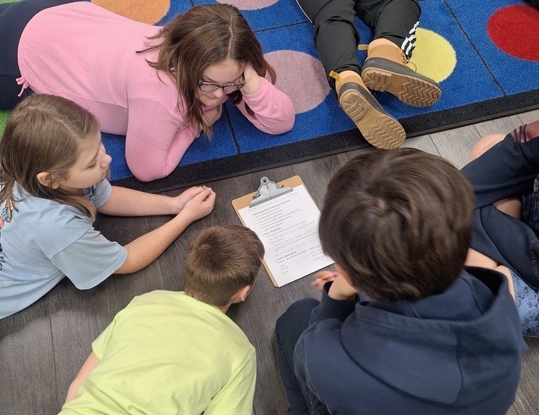 Meadowview Elementary School Music Class