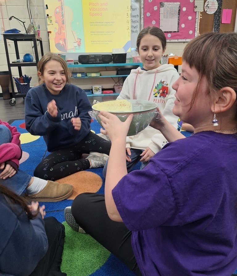 Meadowview Elementary School Music Class