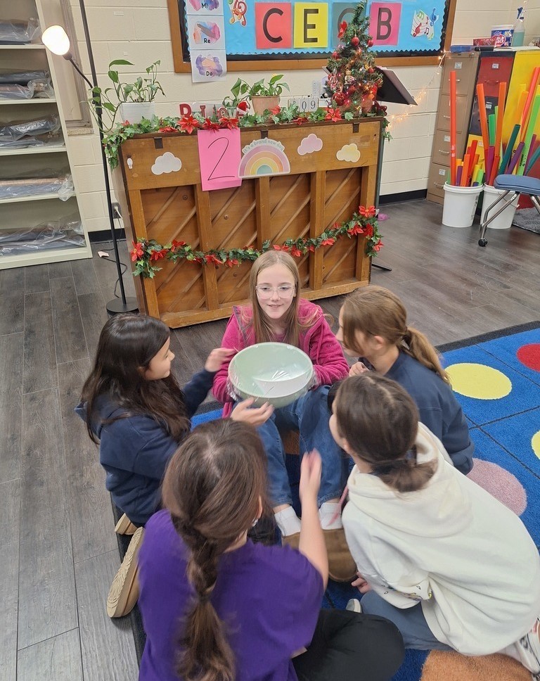 Meadowview Elementary School Music Class