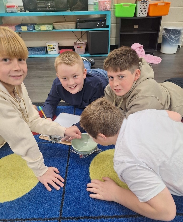 Meadowview Elementary School Music Class