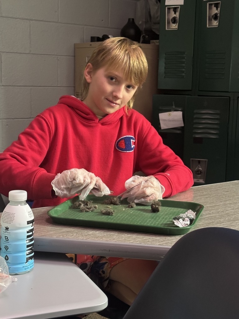 Wallace Middle School Science Class 