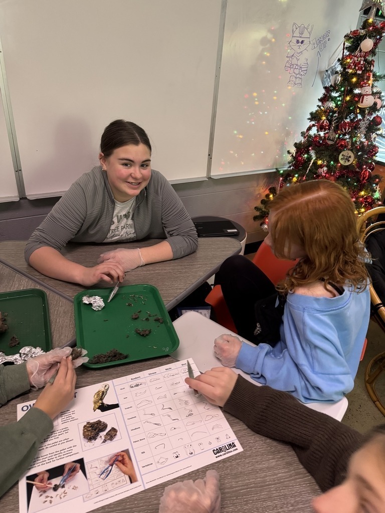 Wallace Middle School Science Class 