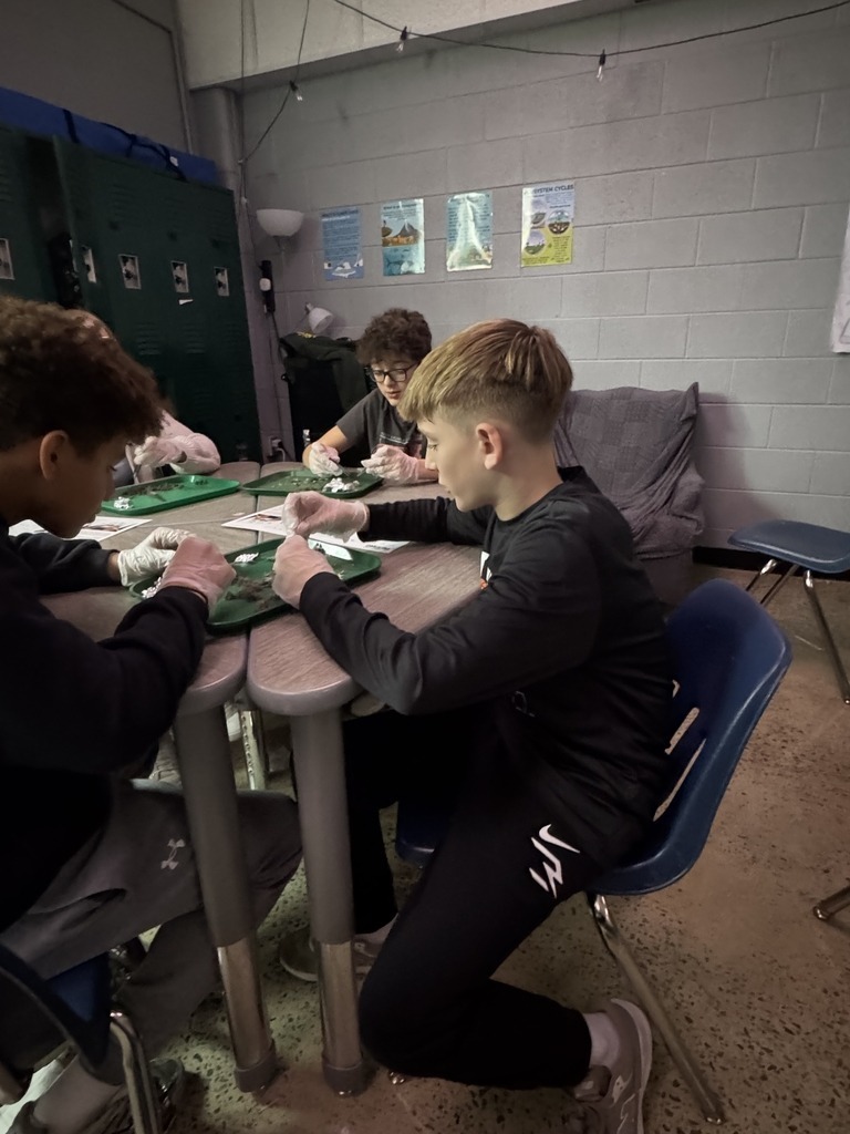 Wallace Middle School Science Class 