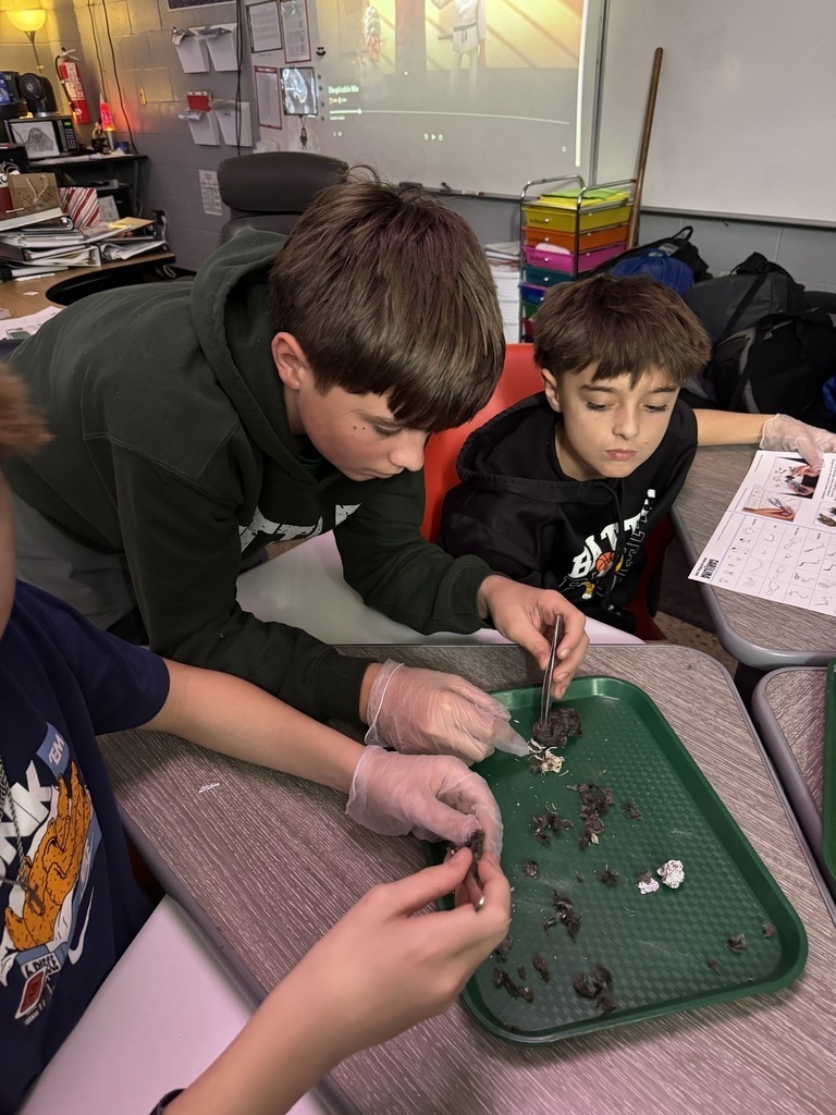 Wallace Middle School Science Class 