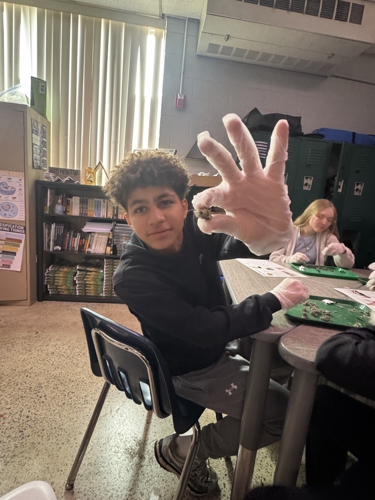 Wallace Middle School Science Class 