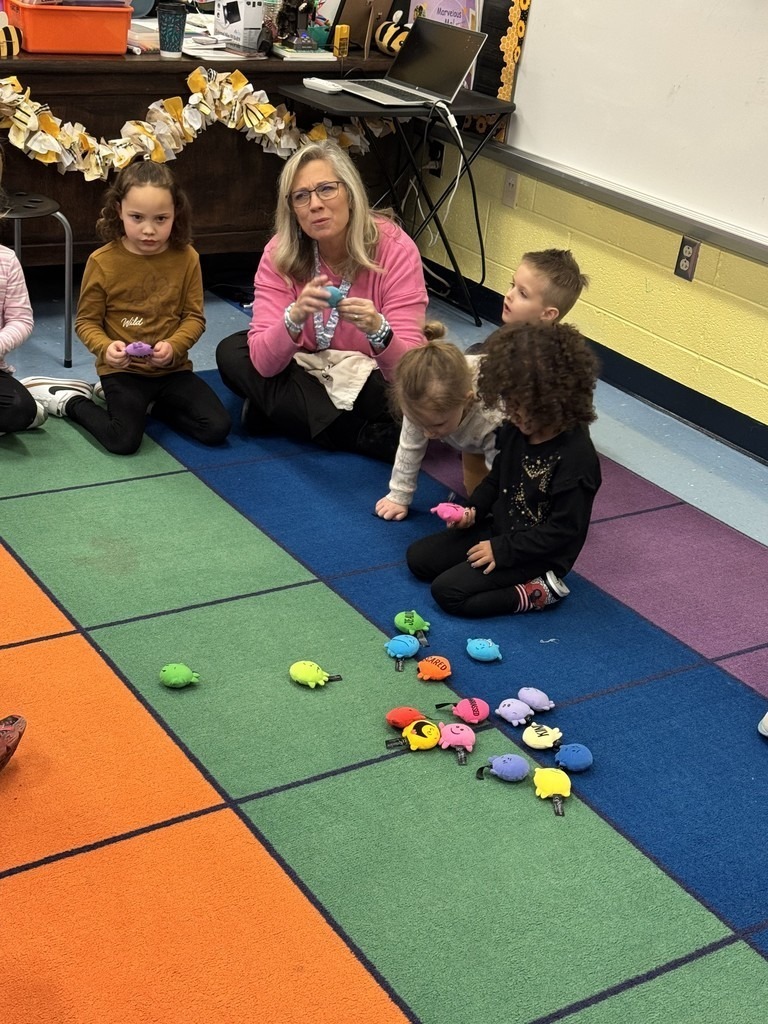 Meadowview Elementary School Pre K 