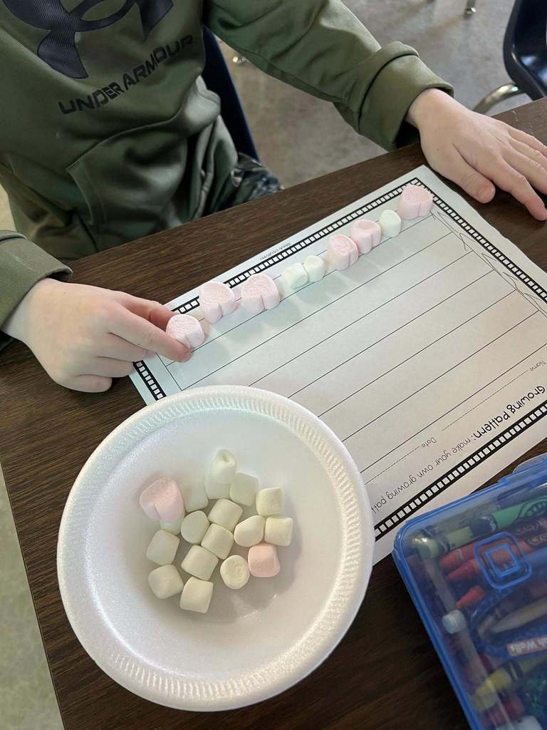 Rhea Valley Elementary School Marshmallow Learning 