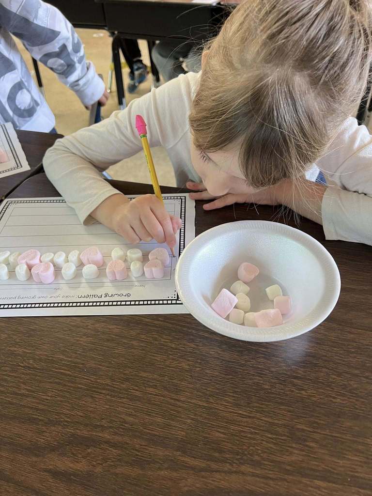 Rhea Valley Elementary School Marshmallow Learning 
