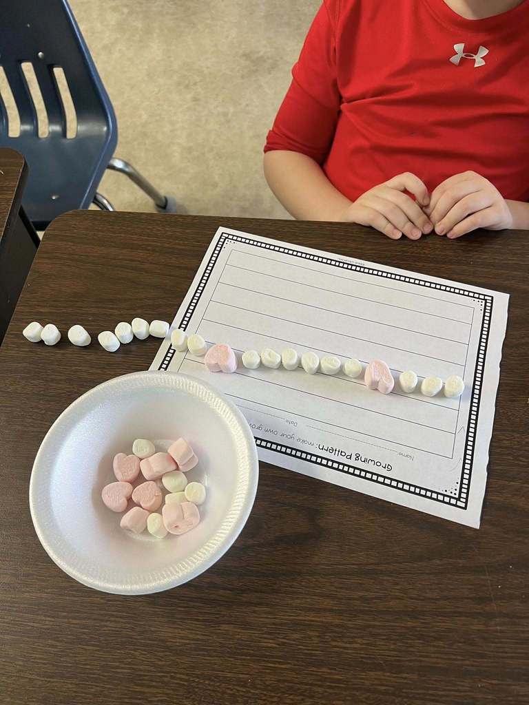Rhea Valley Elementary School Marshmallow Learning 