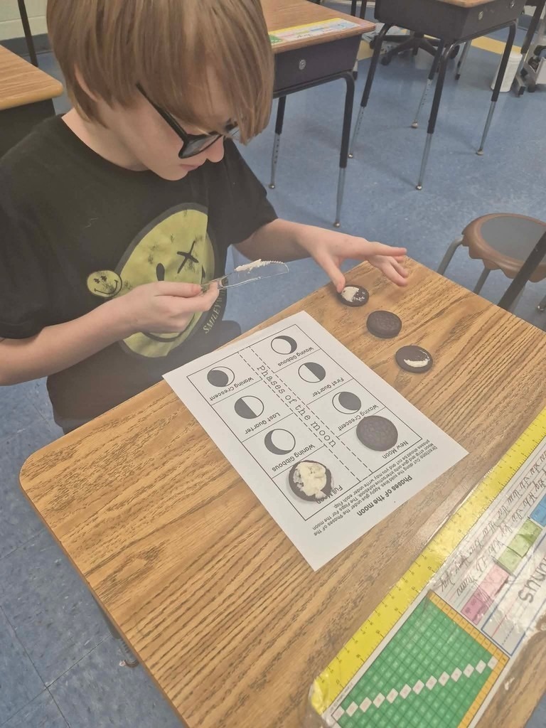 Meadowview Elementary School Moon Phases 