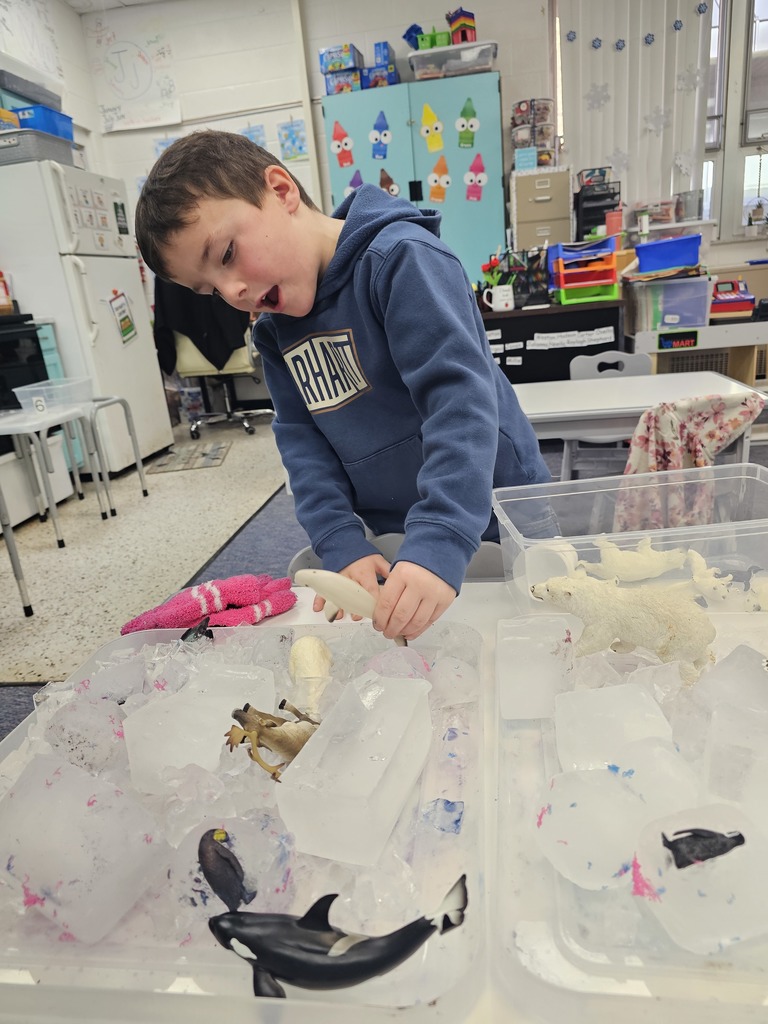 Pre-K has been learning about Arctic Animals. We learned that they have fat called blubber to keep them warm in the snow and icey water. We did an experiment to see if the blubber would keep our hands warm in some icey water. 