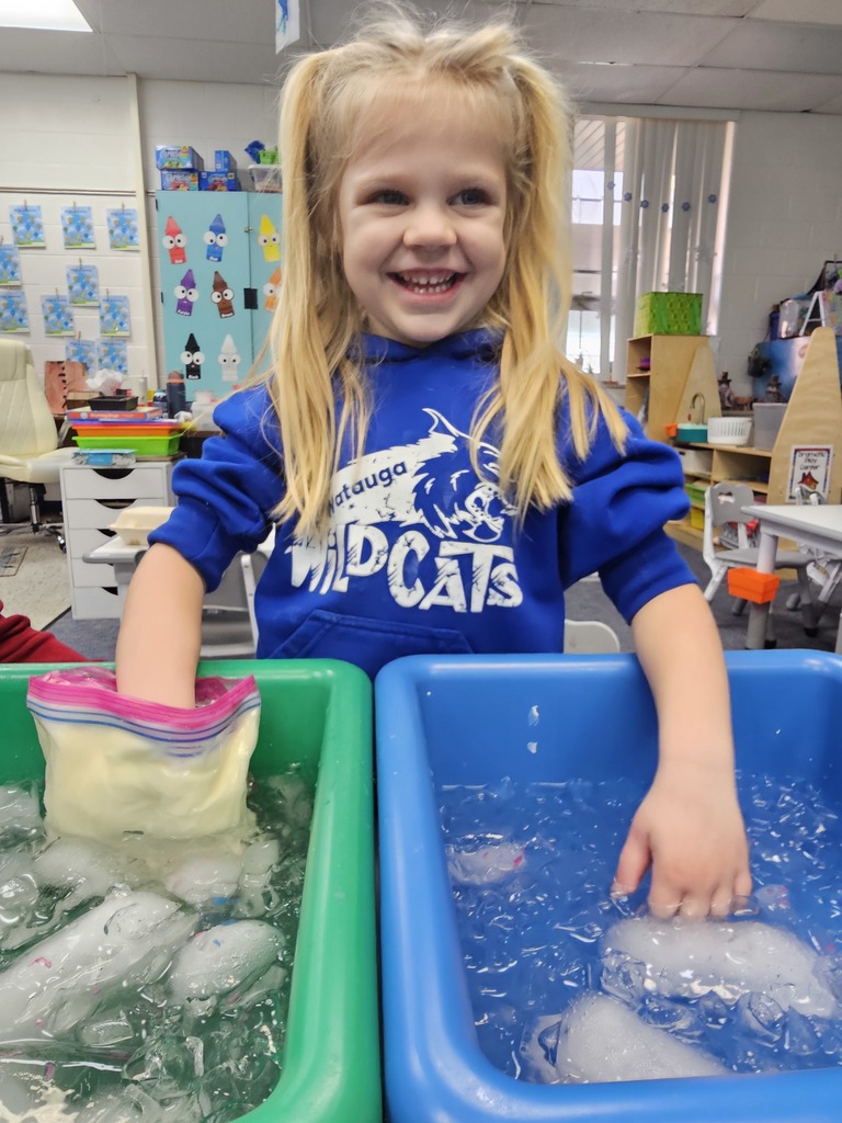 Pre-K has been learning about Arctic Animals. We learned that they have fat called blubber to keep them warm in the snow and icey water. We did an experiment to see if the blubber would keep our hands warm in some icey water. 