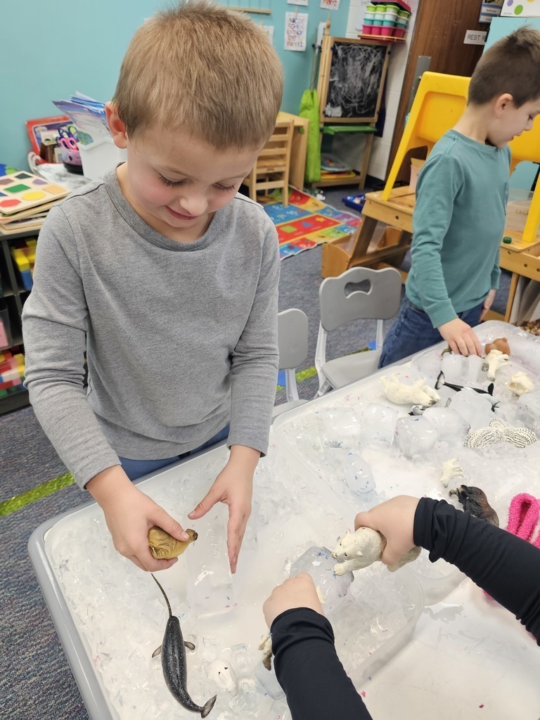 Watauga Elementary School Arctic Animals 