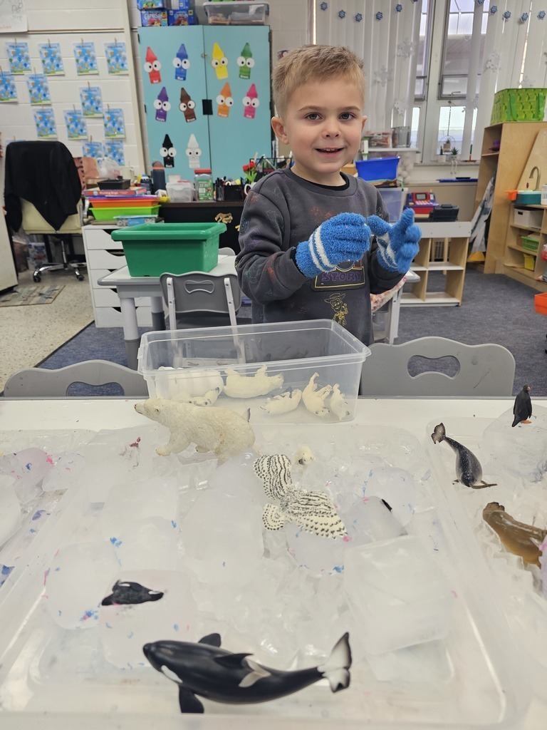 Watauga Elementary School Arctic Animals 